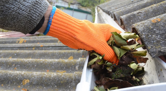 Gutter cleaning and leaf removal on a Fort Worth home
