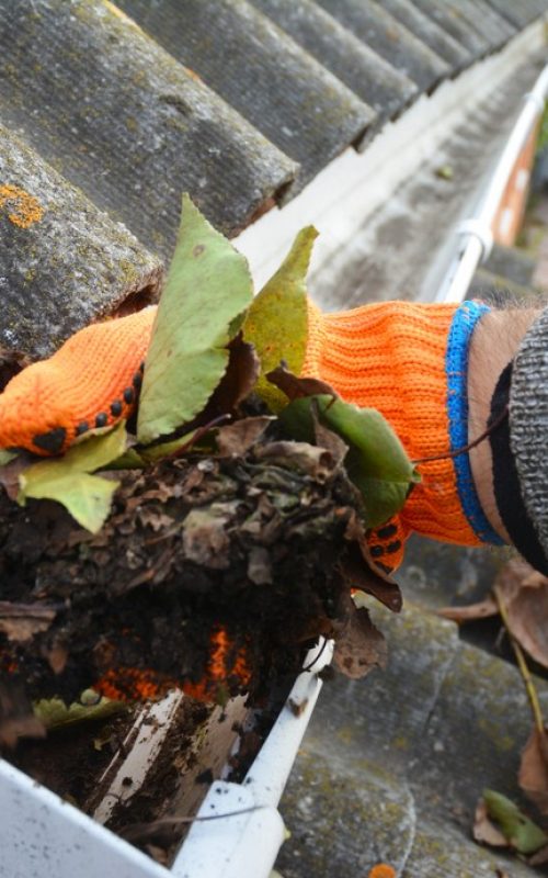 Gutter cleaning and debris removal service